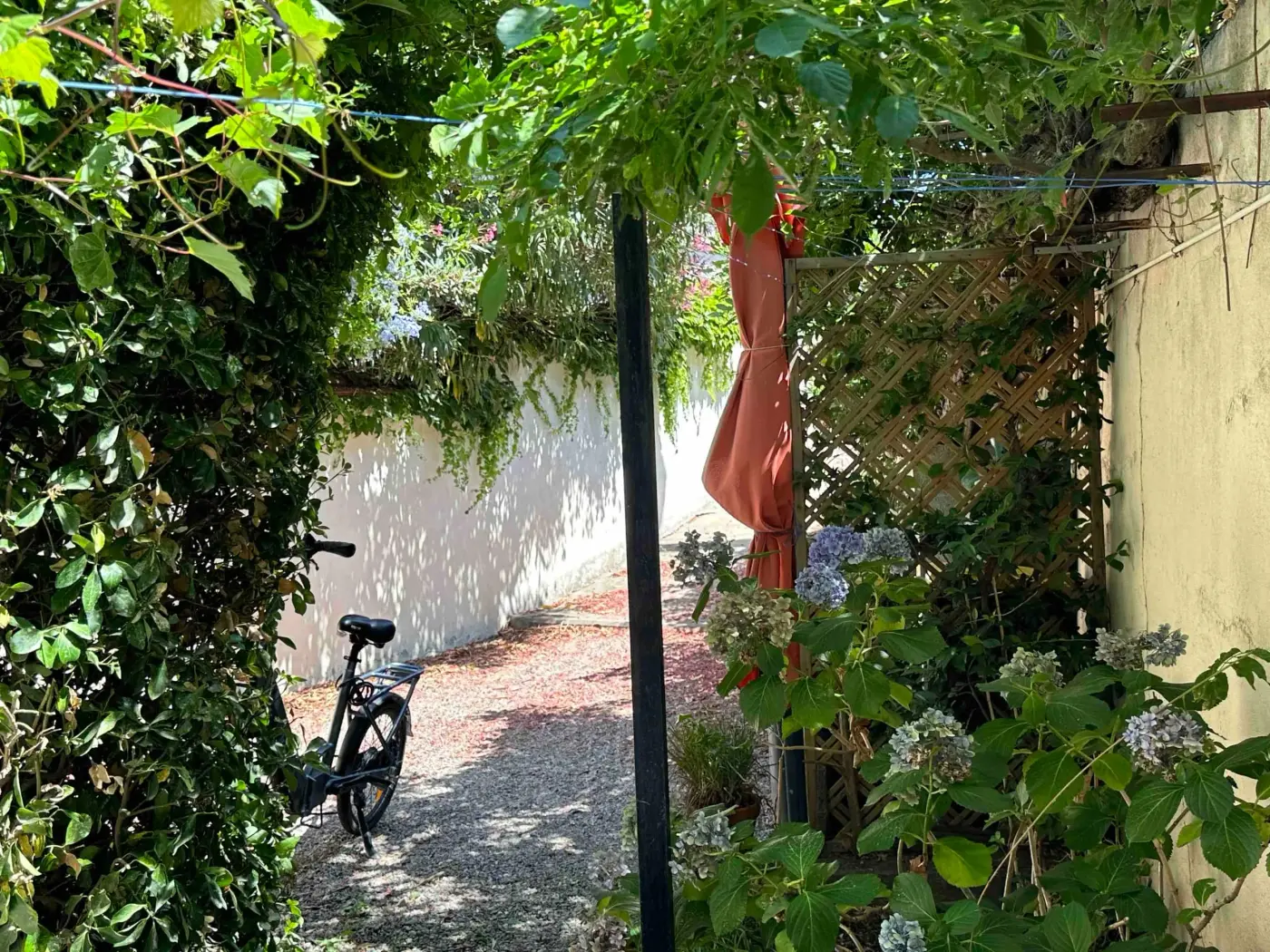 Allée ombragée